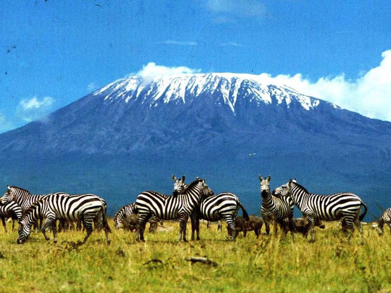 Mount Kilimanjaro National Park