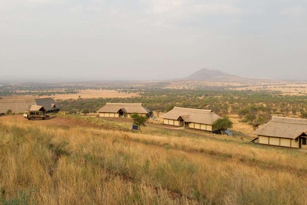 6 Days Tanzania Luxury Safari