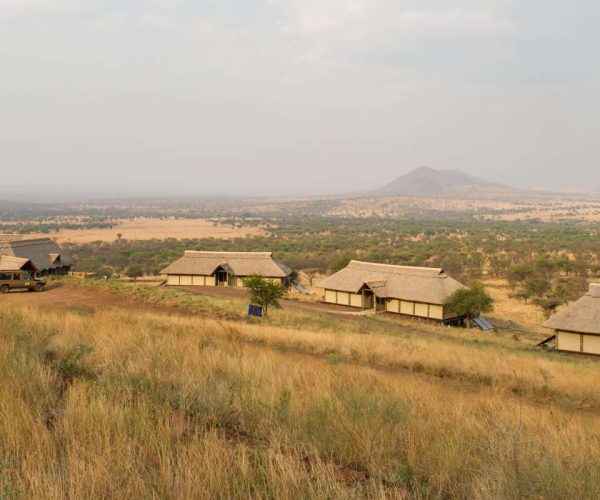 6 Days Tanzania Luxury Safari