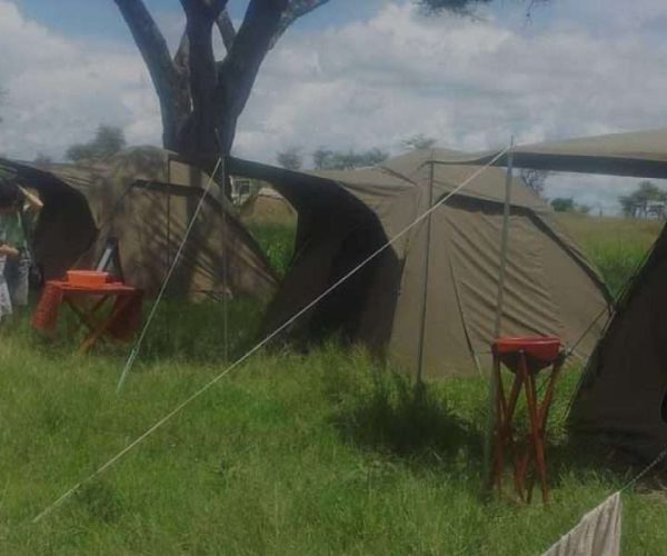 7 Days Rough Camping Trip – Mikumi & Ruaha