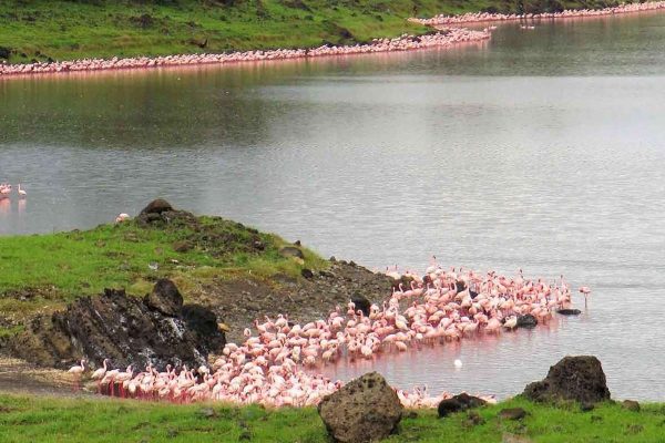 Arusha national Park