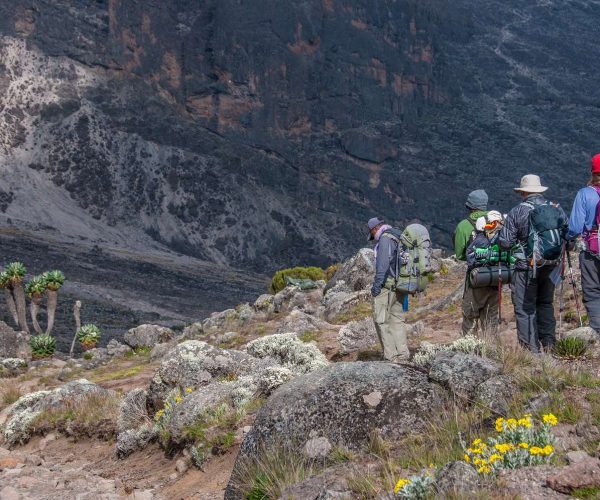 Kilimanjaro National Park Day Trip