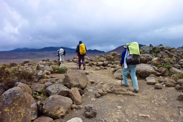 people climbing the Mount Kilimanjaro, the highest mountain in Africa (5892m)
