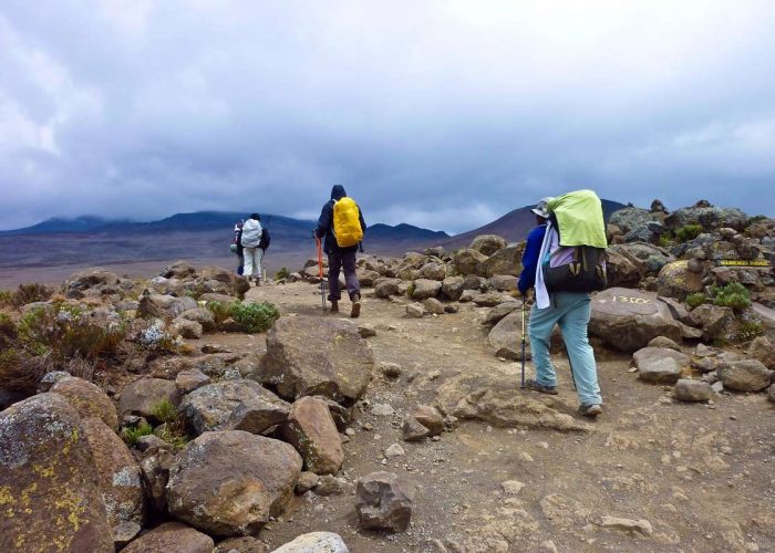 people climbing the Mount Kilimanjaro, the highest mountain in Africa (5892m)