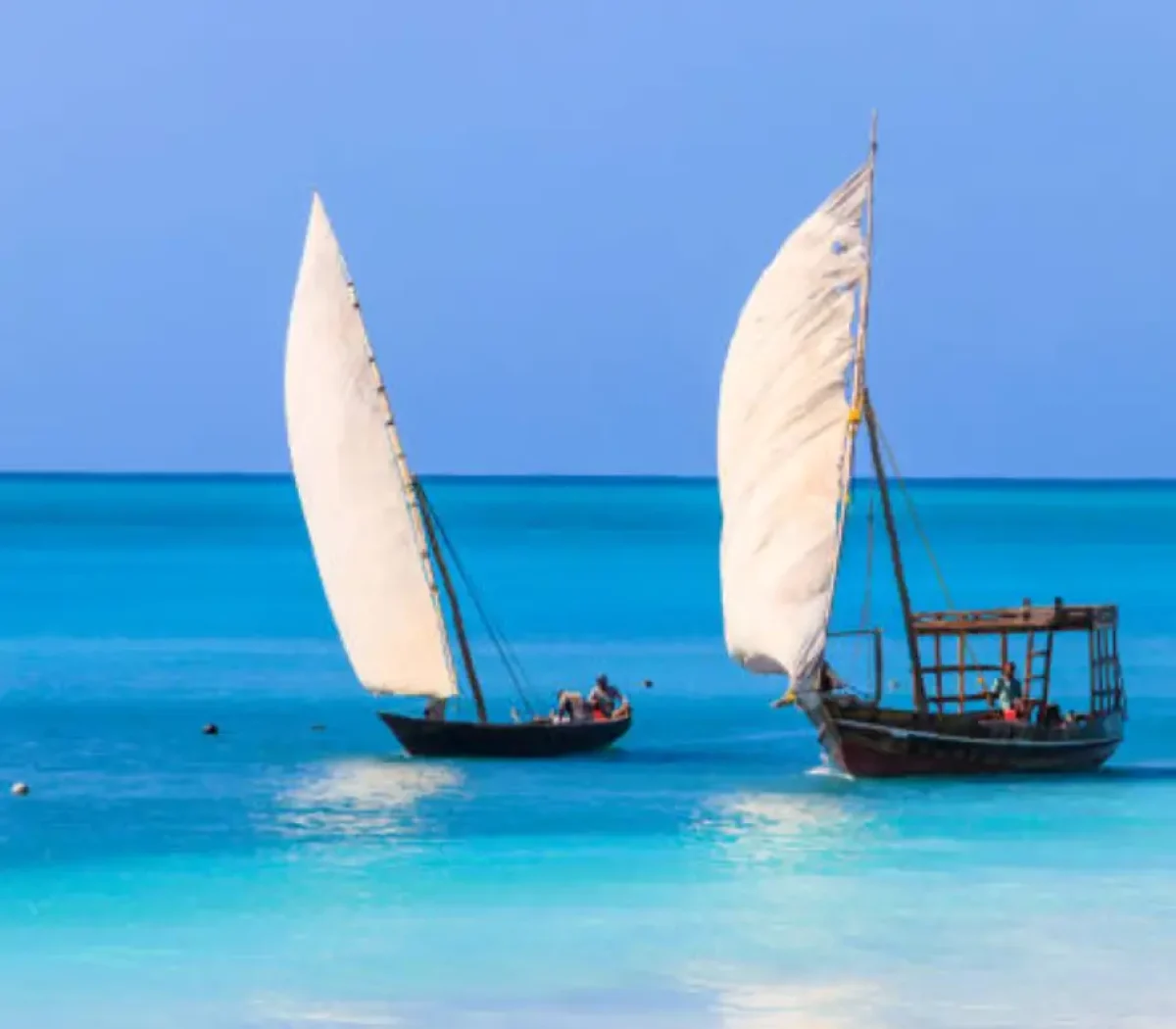 Dhow Sailing10