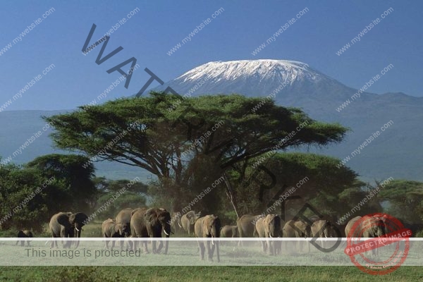 Kilimanjaro National Park