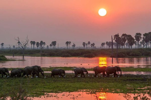 Ruaha National Park1