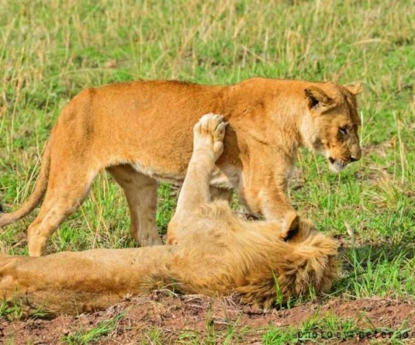 Tarangire National Park