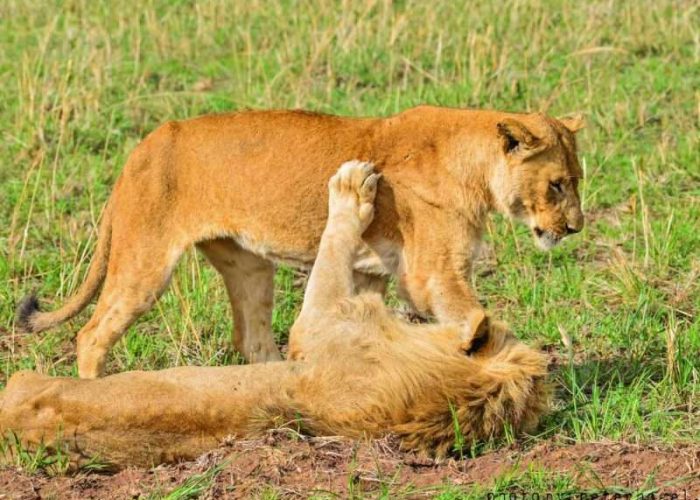 Tarangire National Park