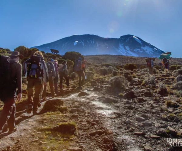 6 Days Umbwe Route Kilimanjaro