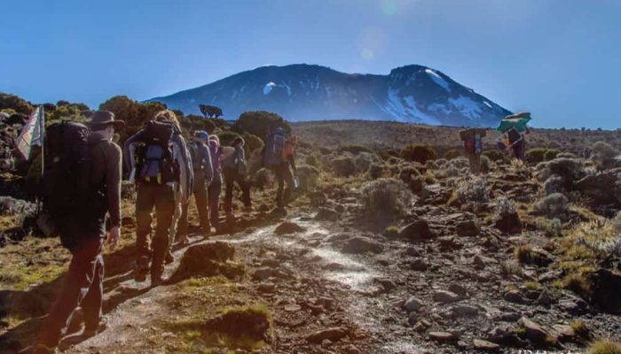 6 Days Umbwe Route Kilimanjaro