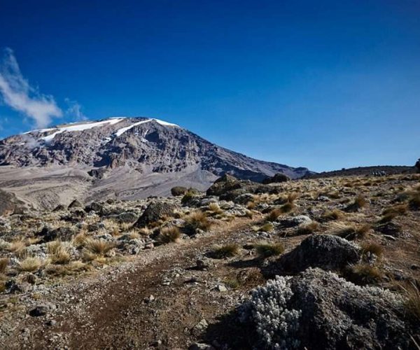 6 Days Umbwe Route Kilimanjaro