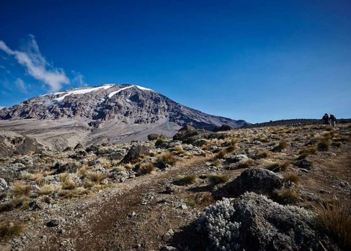 6 Days Umbwe Route Kilimanjaro