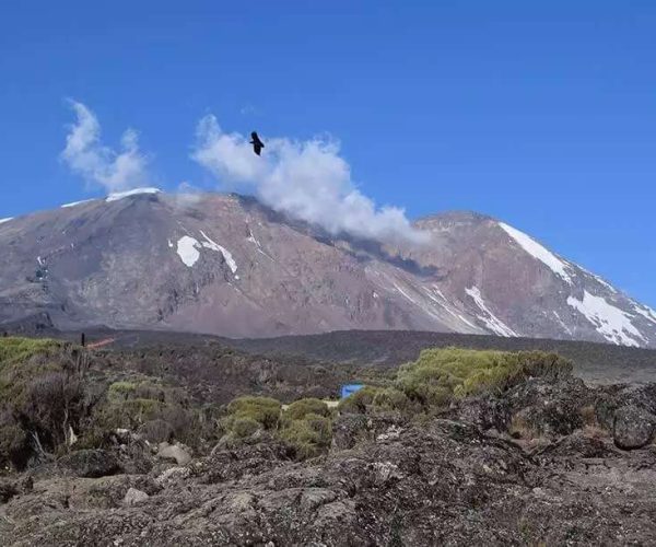 6 Days Umbwe Route Kilimanjaro