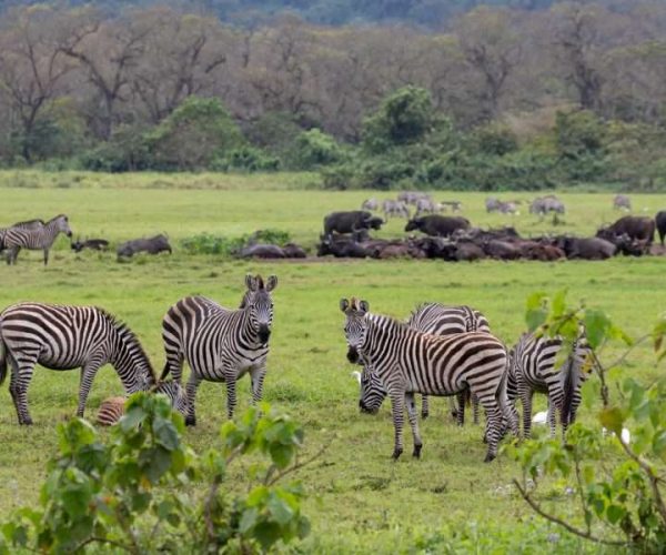 Arusha National Park