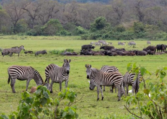 Arusha National Park