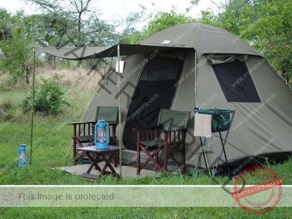 4 Days Tanzania Camping Safari