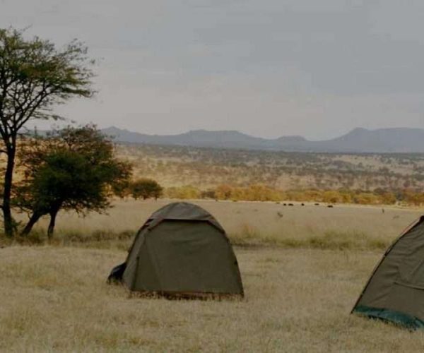 4 Days Camping Safari