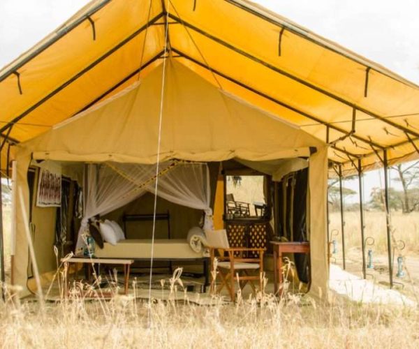 4 Days Camping Safari