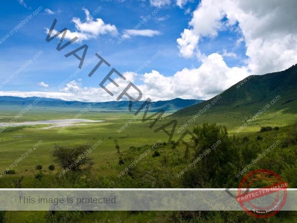 4 Days Tanzania Camping Safari