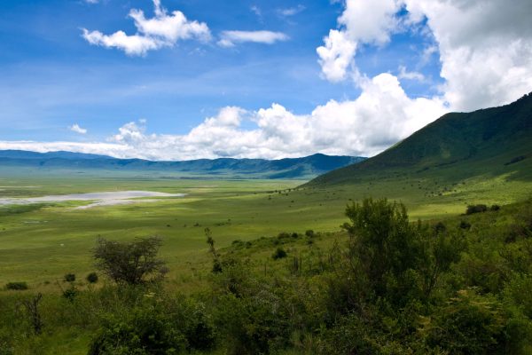 2 Days Tarangire National Park & Ngorongoro Crater