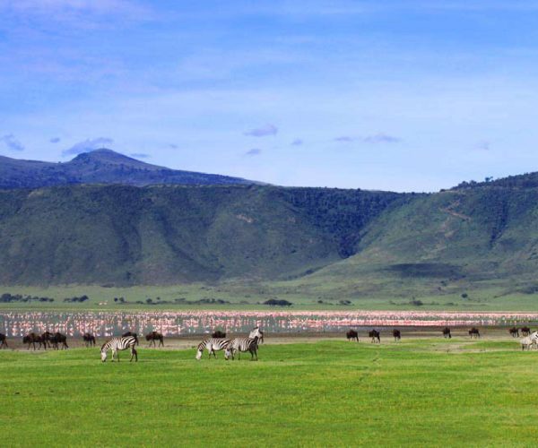 3 Days Manyara/Ngorongoro/Tarangire