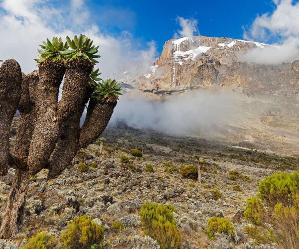 6 Days Marangu Trek