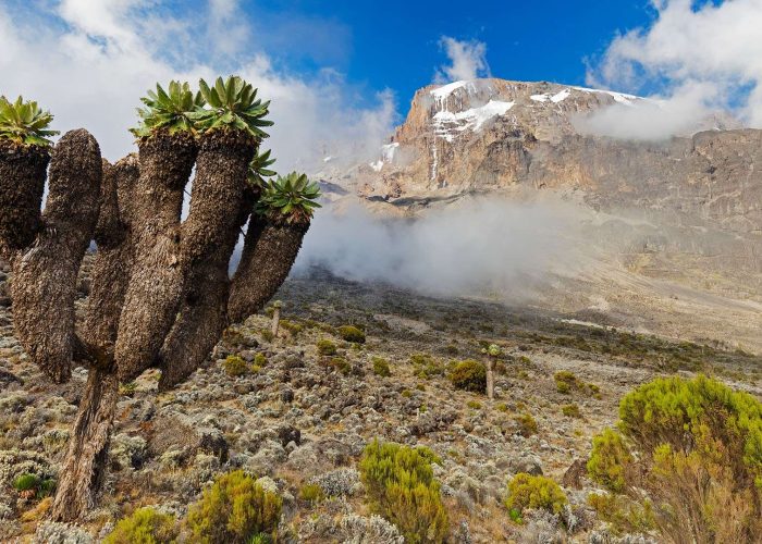 6 Days Marangu Trek