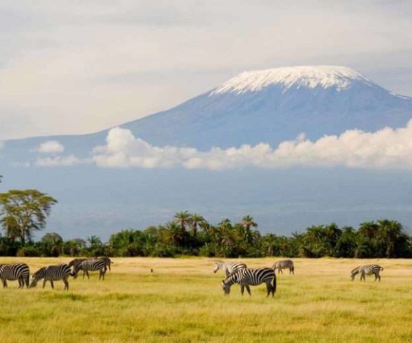 19 Days Northern & Southern Tanzania