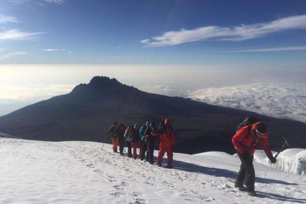 12 Days Kilimanjaro Trek & Safari