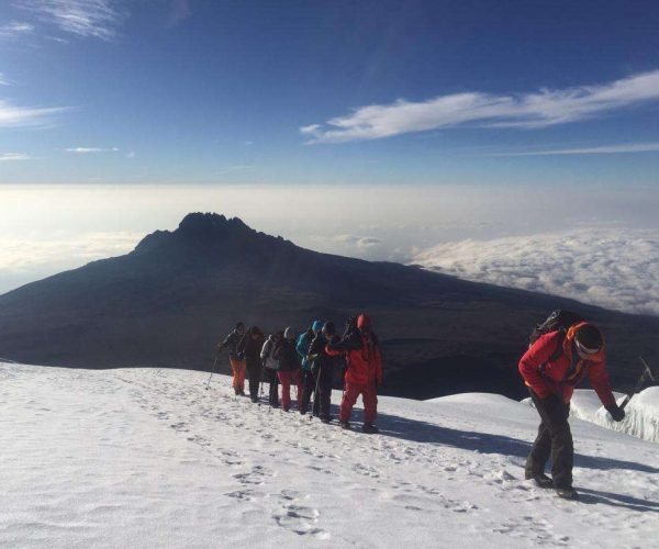 12 Days Kilimanjaro Trek & Safari