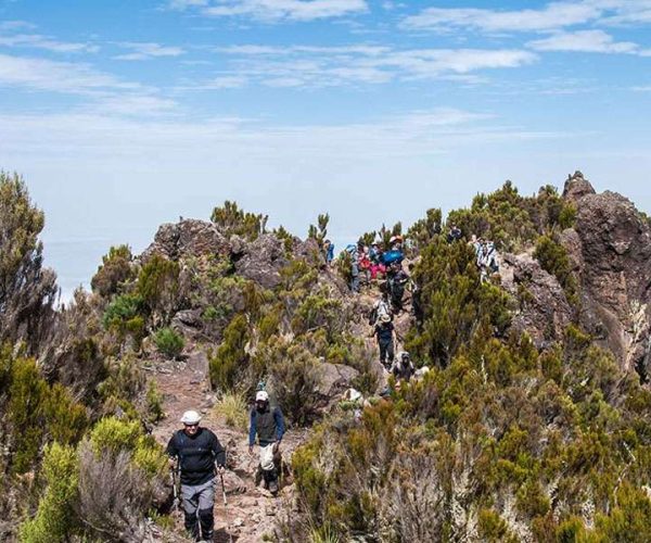 7 Days Machame Route