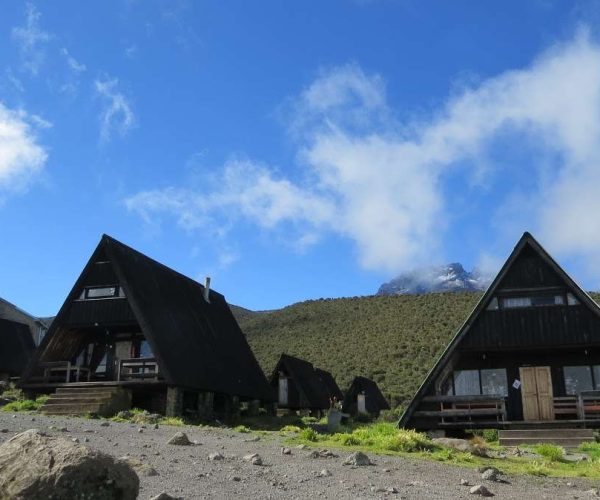 5 Days Marangu Route Kilimanjaro Climbing