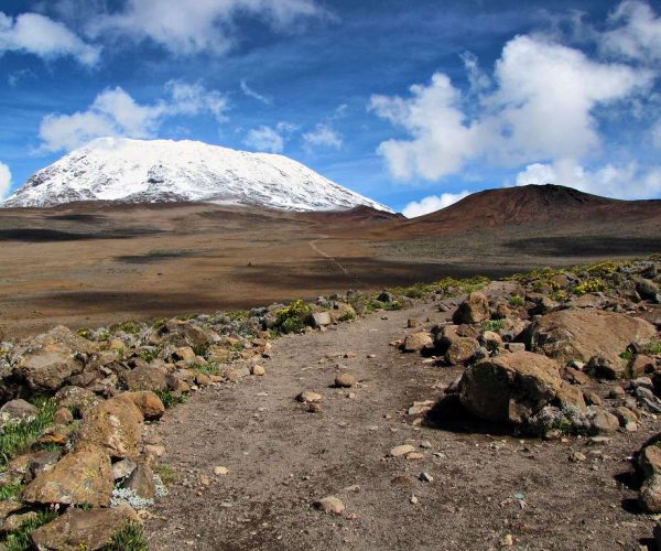 5 Days Marangu Route Kilimanjaro Climbing