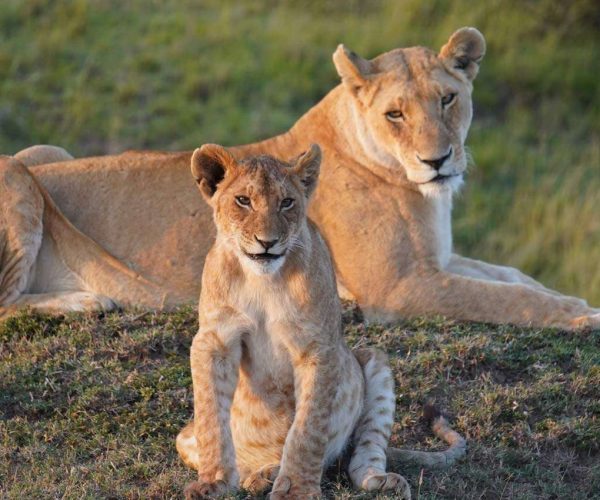 5 Days Serengeti Great Migration Safari