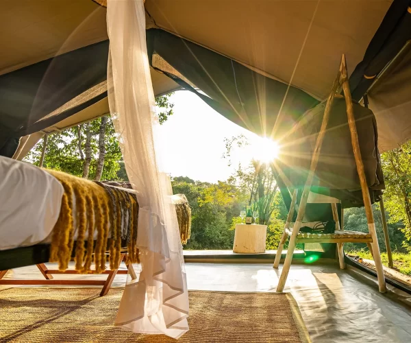 5 Days The Masai Mara Classic