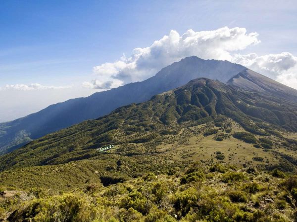 Arusha National Park Day Trip