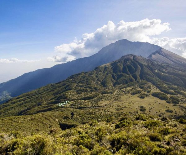 Arusha National Park Day Trip