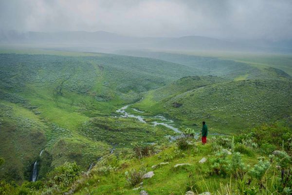 Ngorongoro Highland