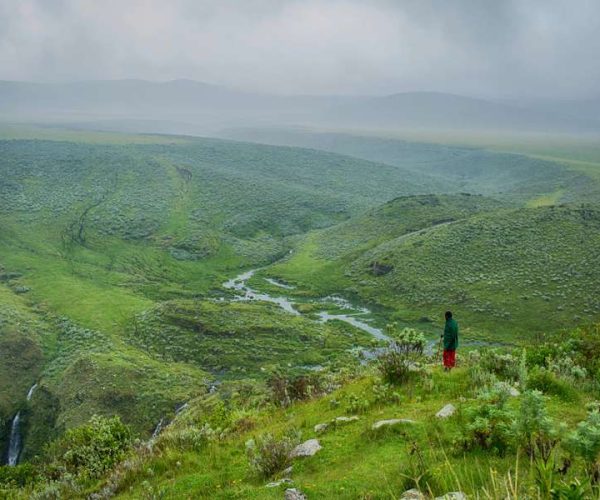 Ngorongoro Highland