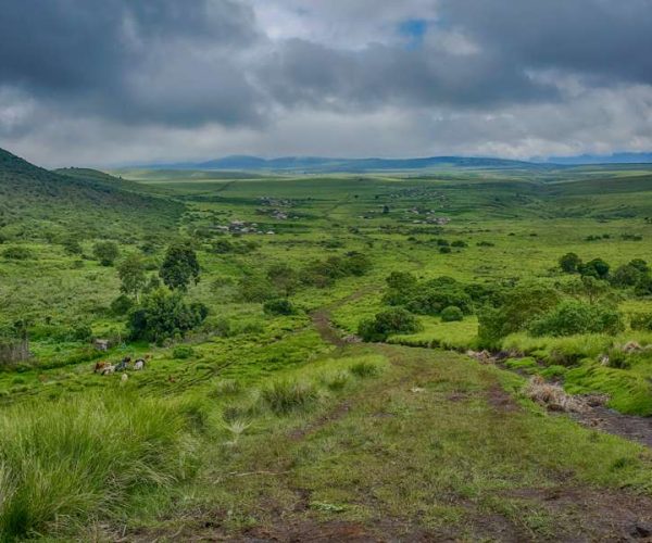 Ngorongoro Highland