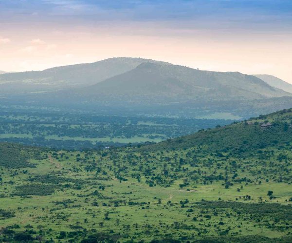 Ngorongoro Crater Day Trip