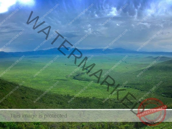 Ngorongoro Crater Day Trip