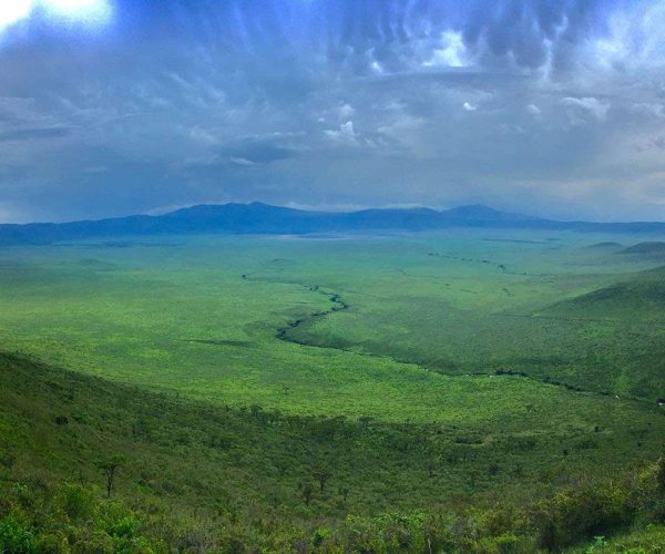 Ngorongoro Crater Day Trip