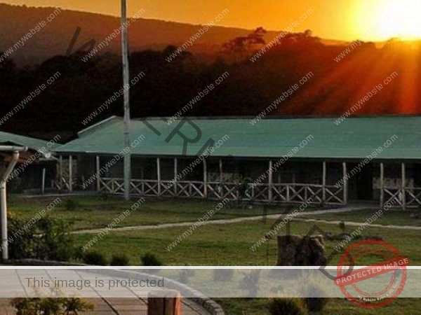 Ngorongoro Crater Day Trip