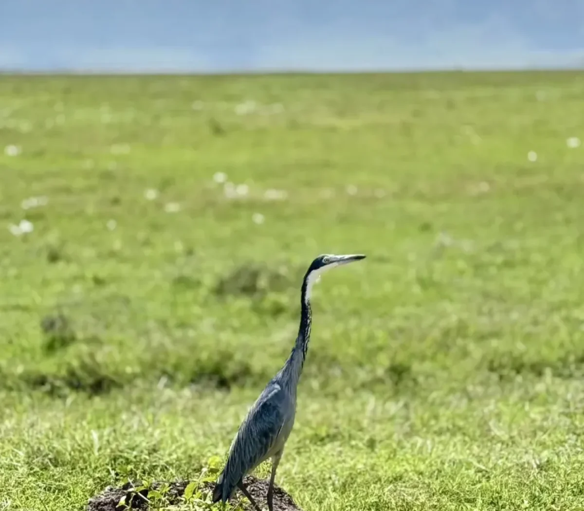 ngorongoro-crater-5