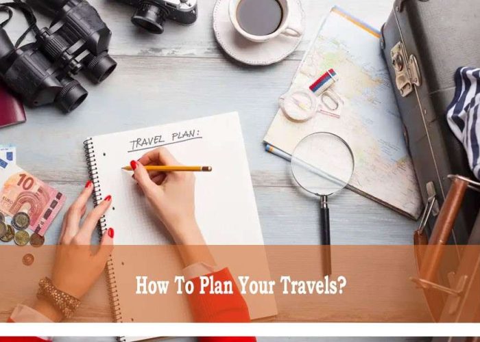 plan to travel