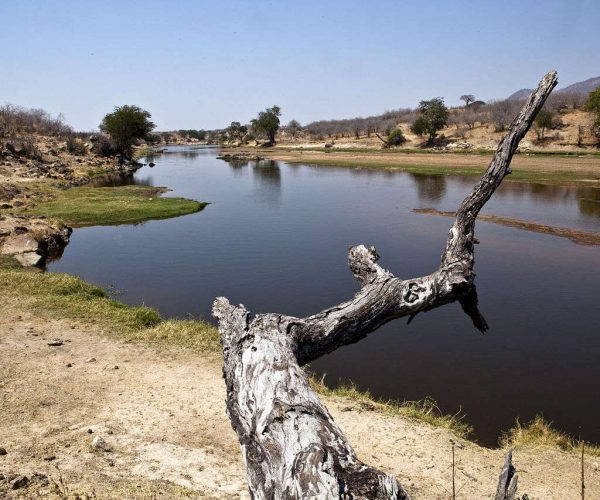 3 Days Ruaha Fly in Safari