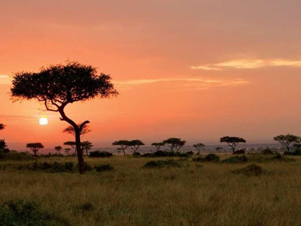 5 Days Serengeti Tanzania Safari