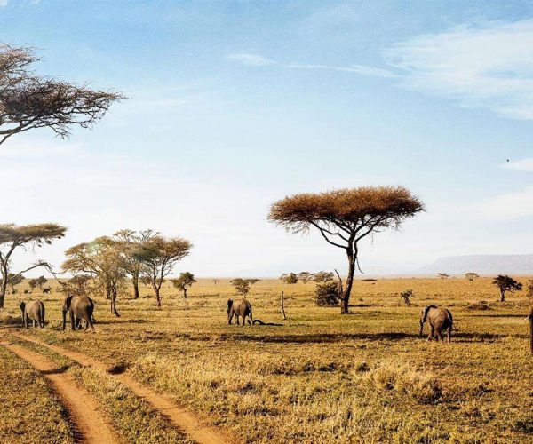 5 Days Serengeti Great Migration Safari